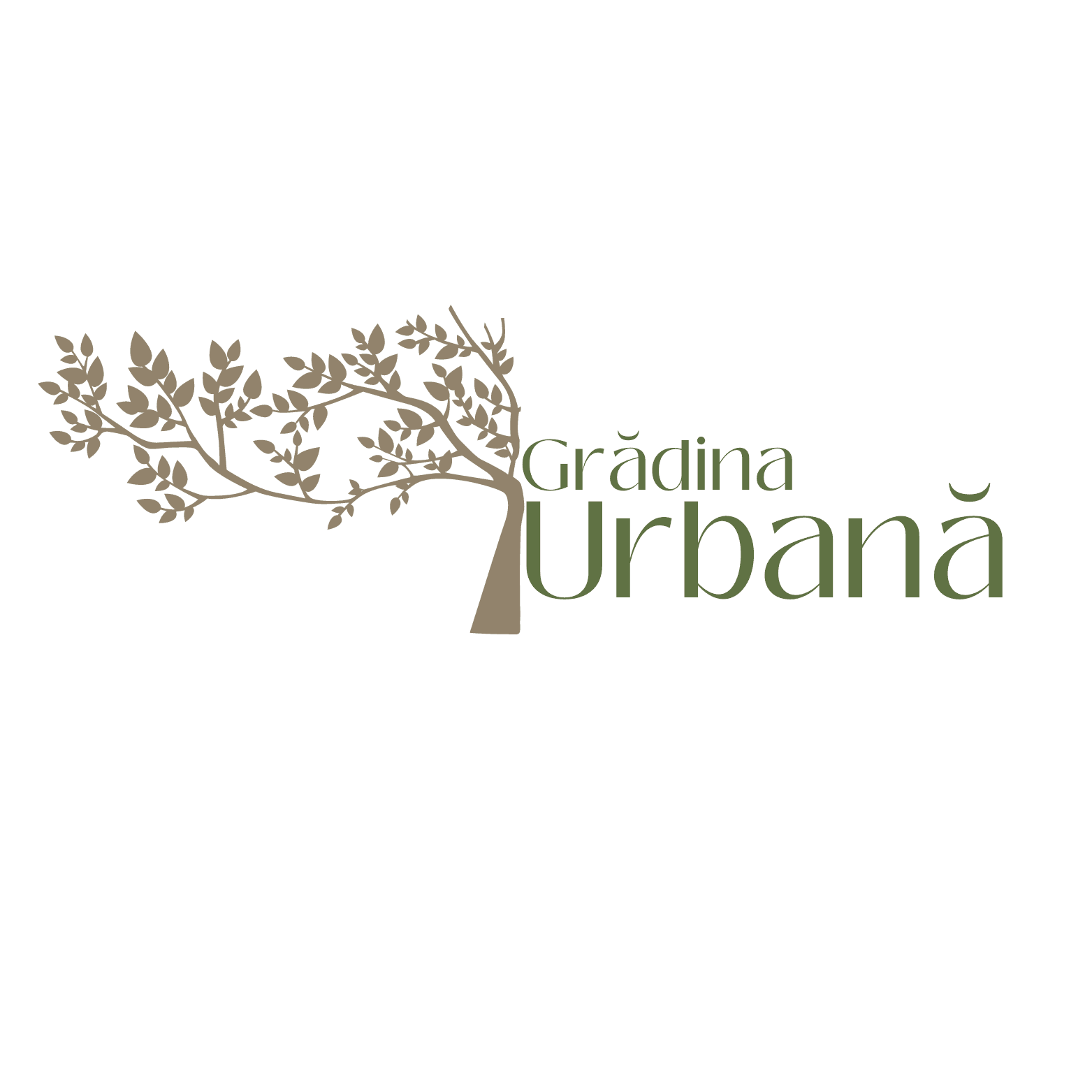 Branding creativ și adaptat personalității afacerii clientului