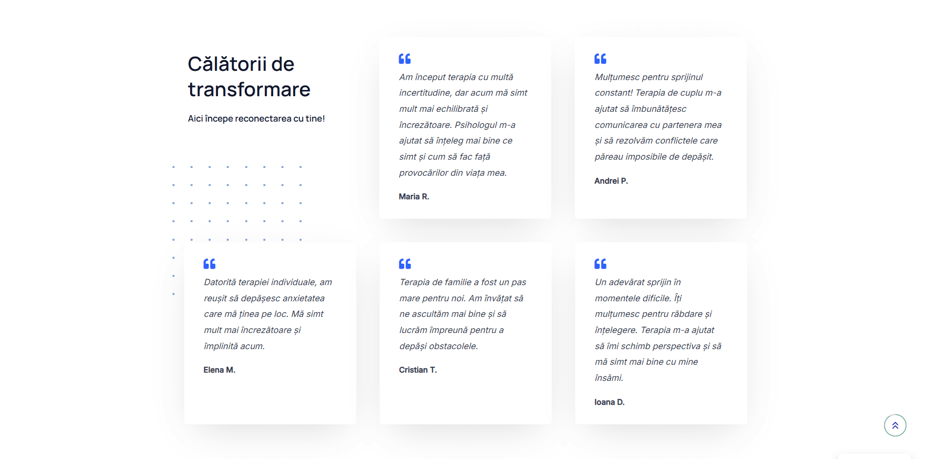 Captură pagină produs – dezvoltare web și UI personalizat