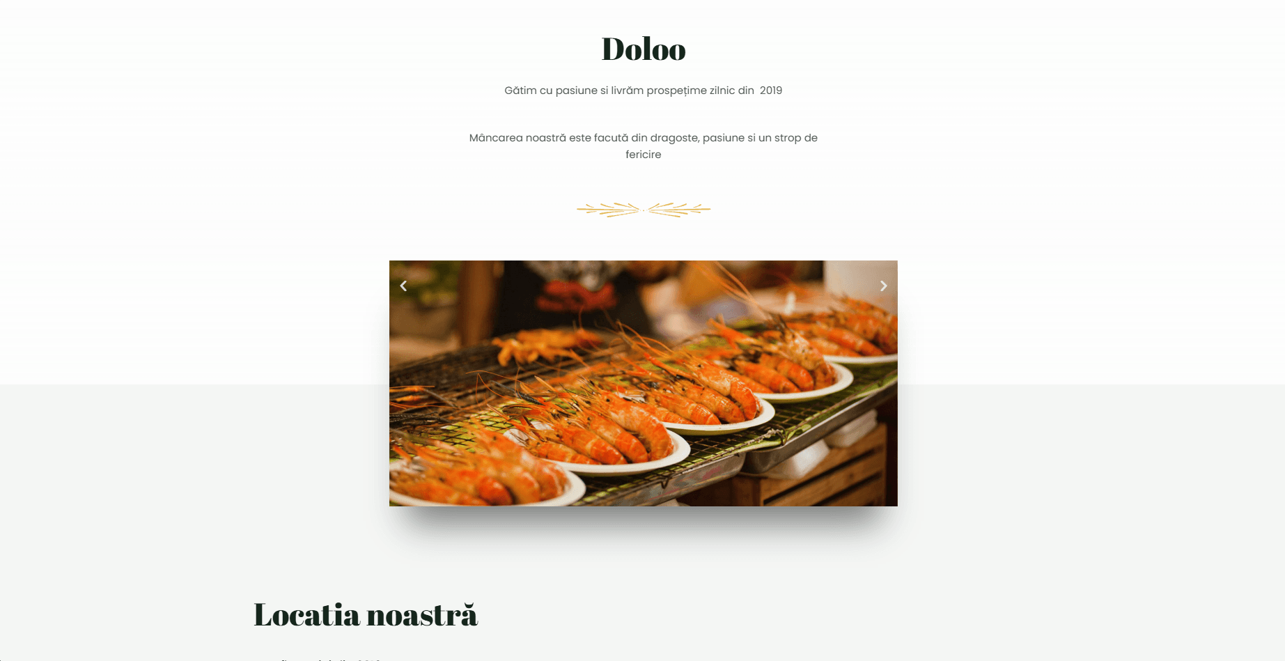 Proiect branding și web design complet pentru afaceri online